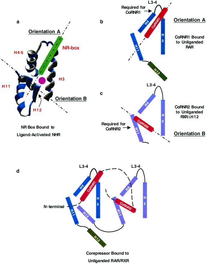 FIG. 8