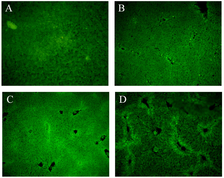 Fig.4