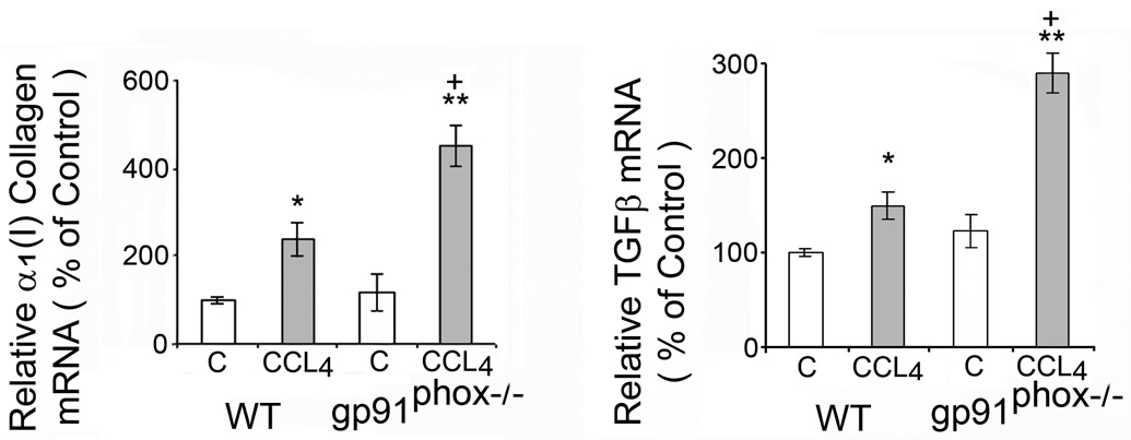 Fig.3