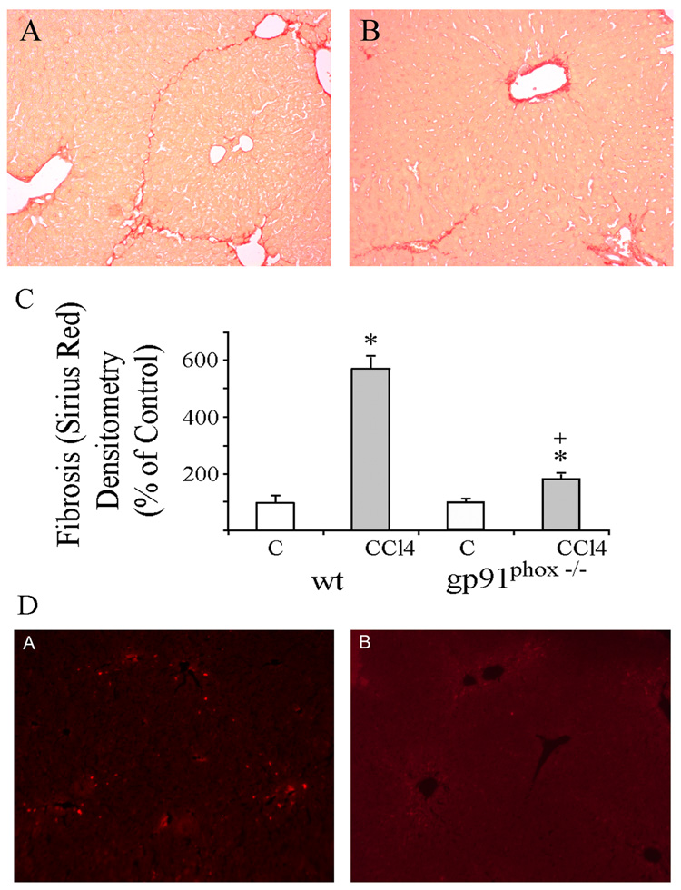 Fig.2