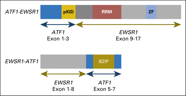 Fig A1.