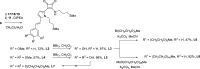 Scheme 3