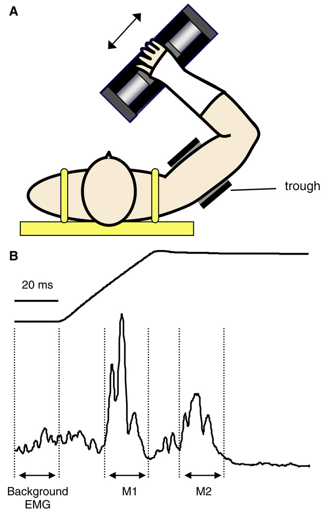 Fig. 1