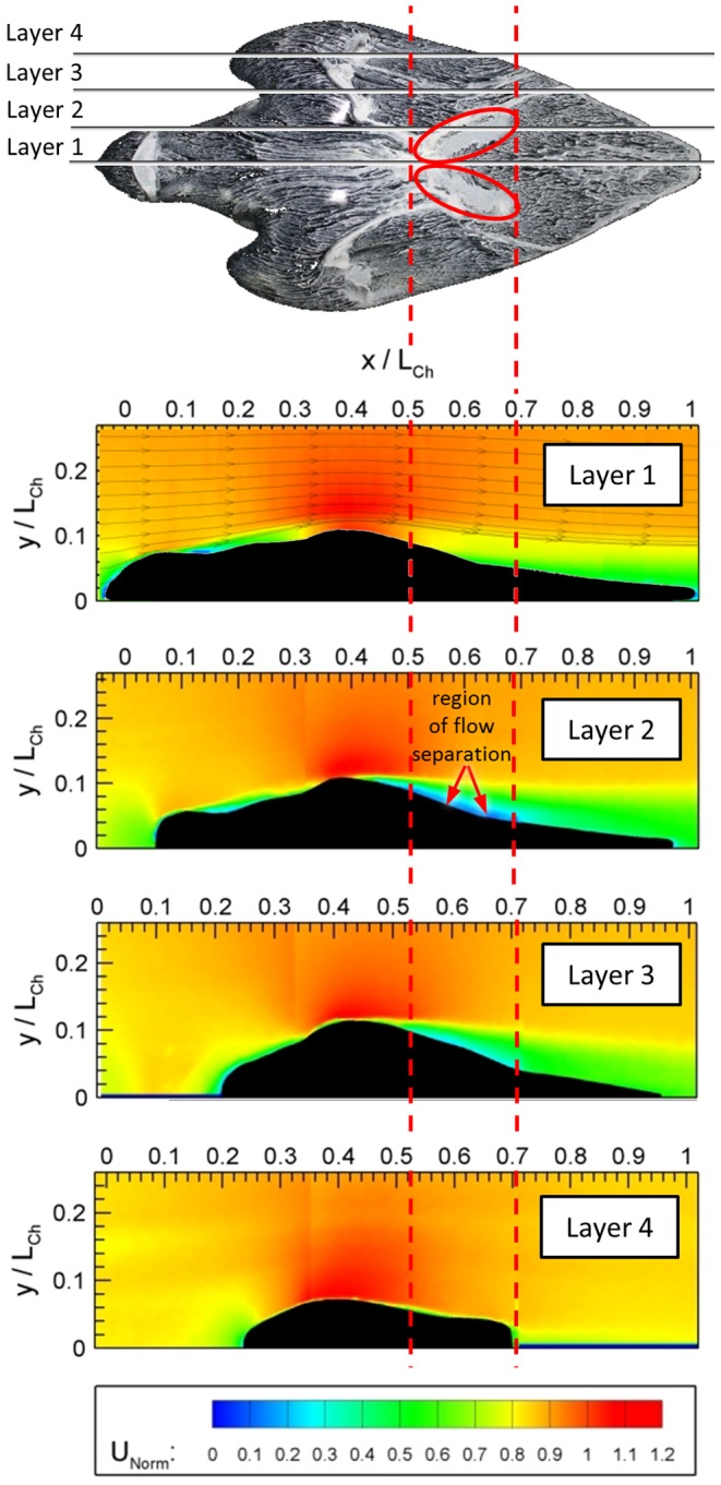 Figure 17