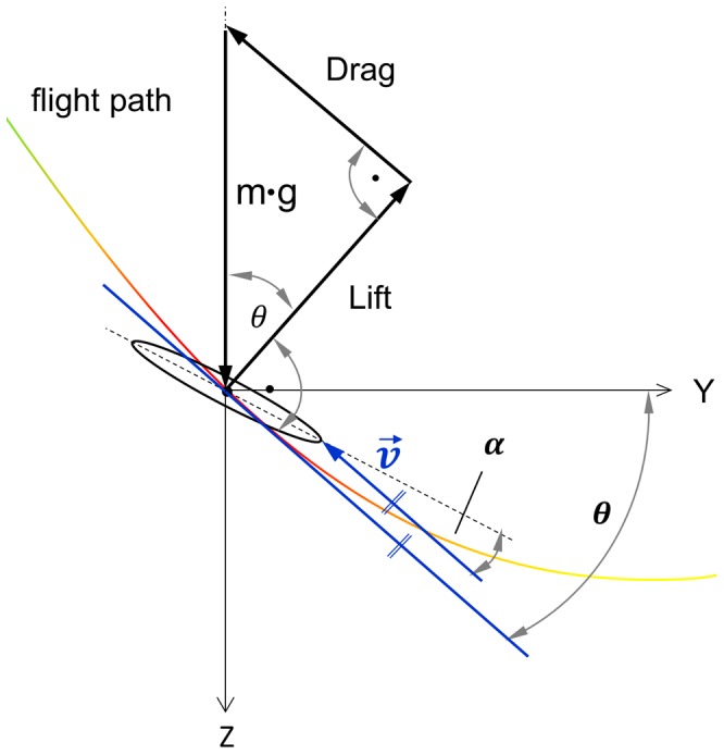 Figure 12