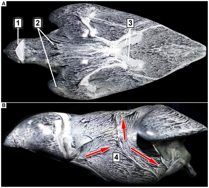 Figure 15