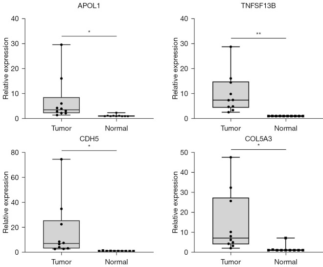 Figure 13