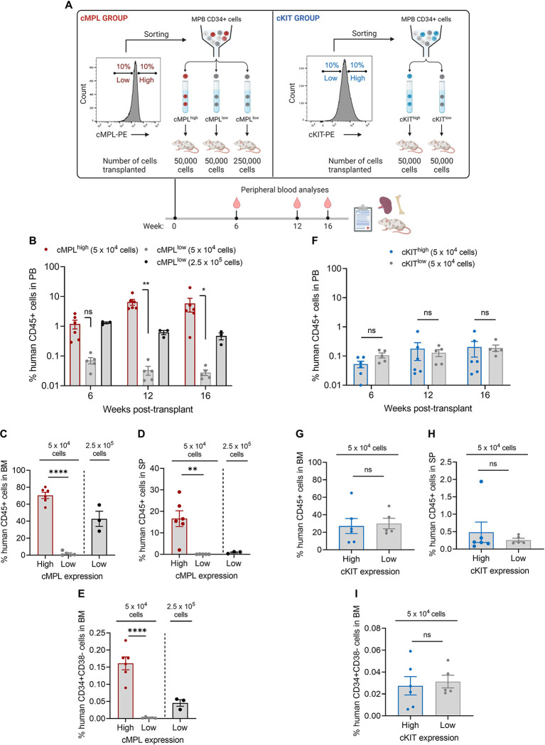Figure 2 |