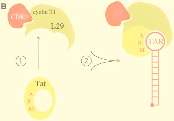 FIG. 7