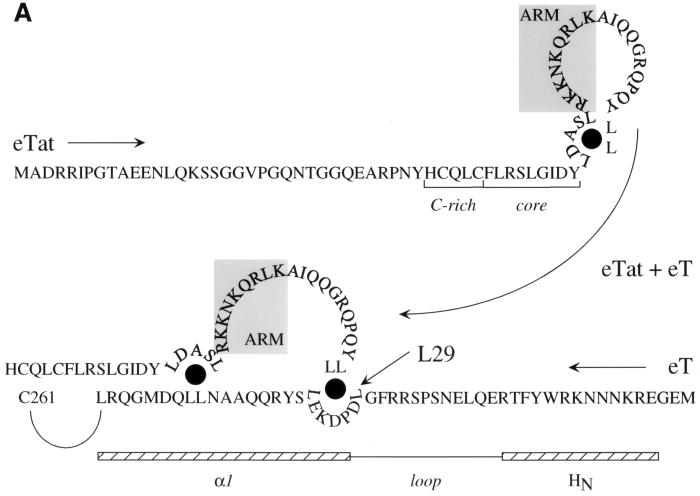 FIG. 7