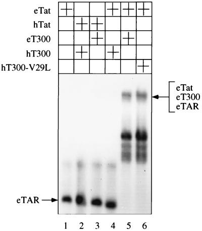 FIG. 5