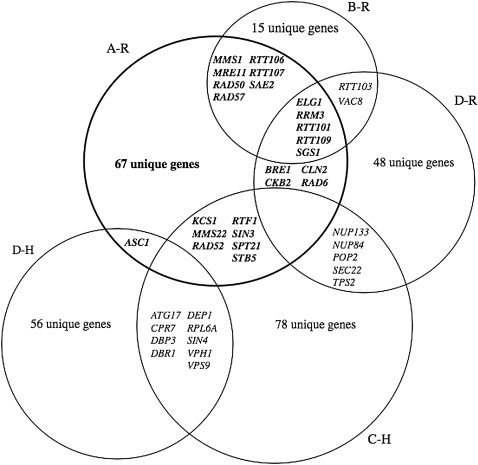 Figure 3.—