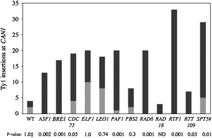 Figure 5.—