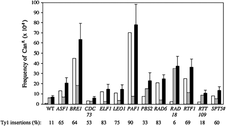 Figure 4.—