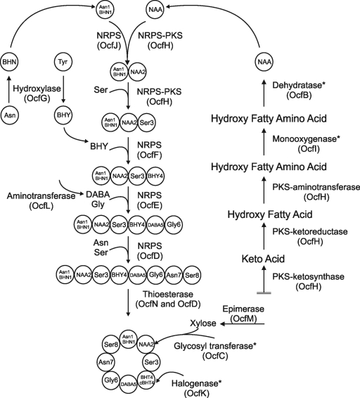 Fig. 7.