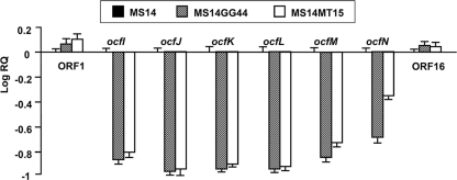 Fig. 6.