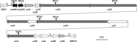 Fig. 5.