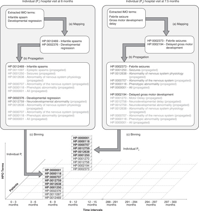 graphic file with name 41436_2020_953_Fig1_HTML.jpg