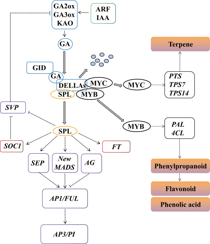 Figure 11