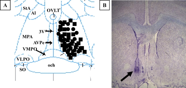 FIG. 1.