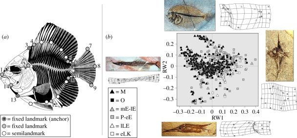 Figure 1.