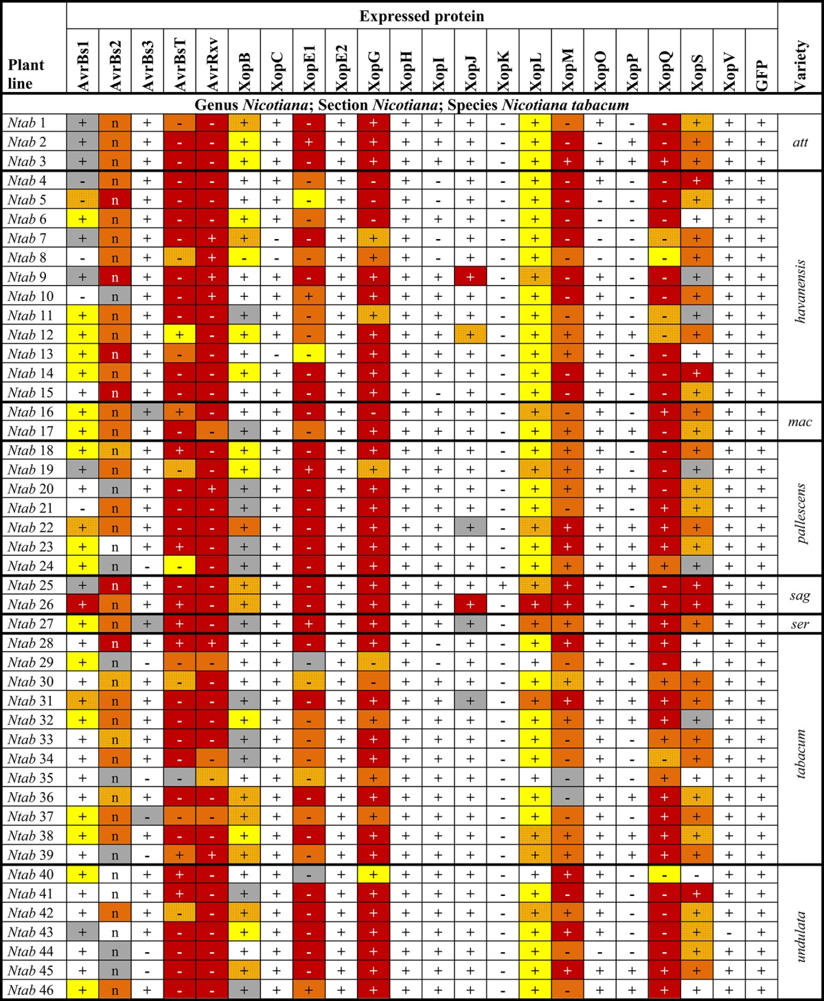 graphic file with name fpls-07-01796-i0002.jpg