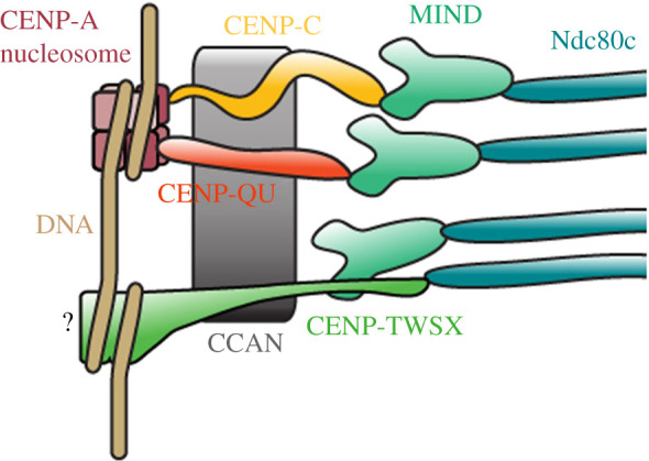 Figure 1.