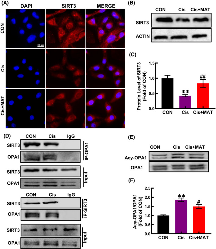 FIGURE 3