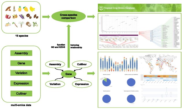 Graphical Abstract