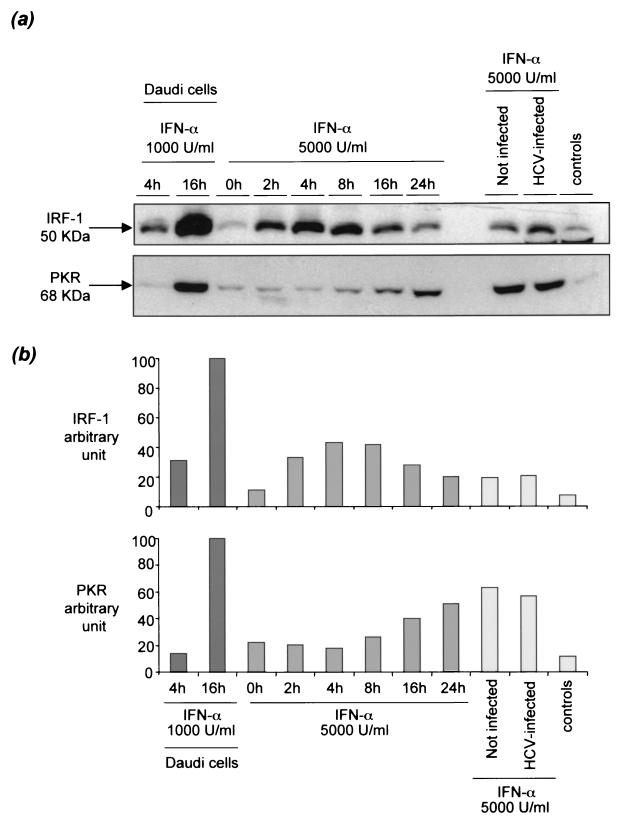 FIG. 5.