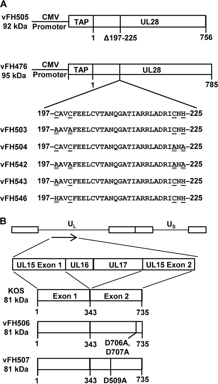 FIG 8