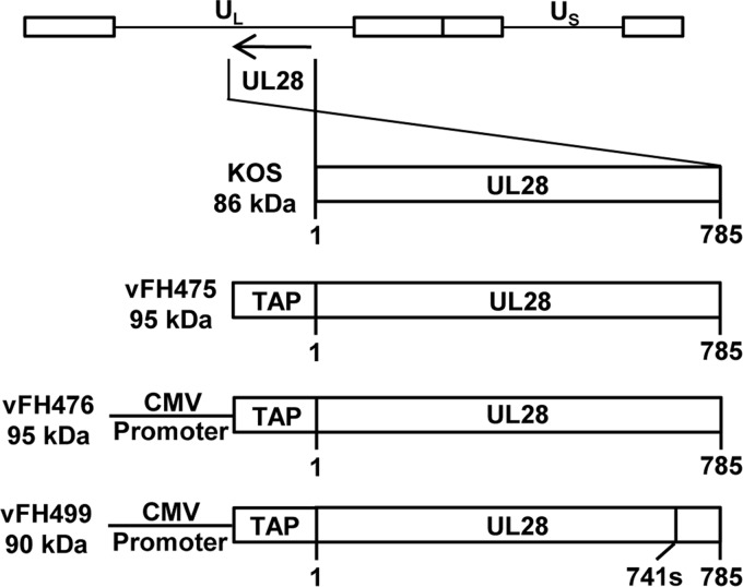 FIG 2