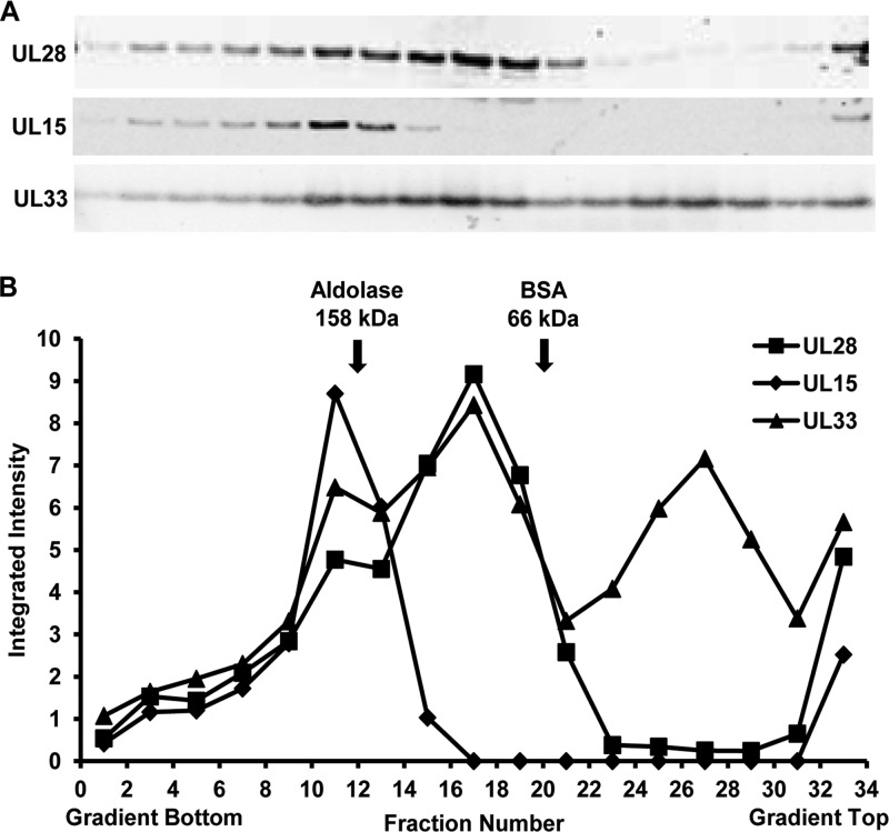 FIG 6