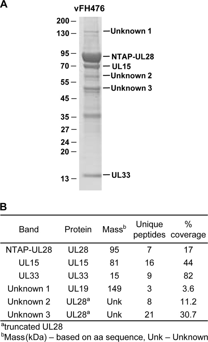 FIG 7