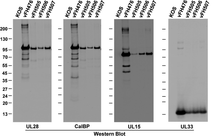 FIG 10