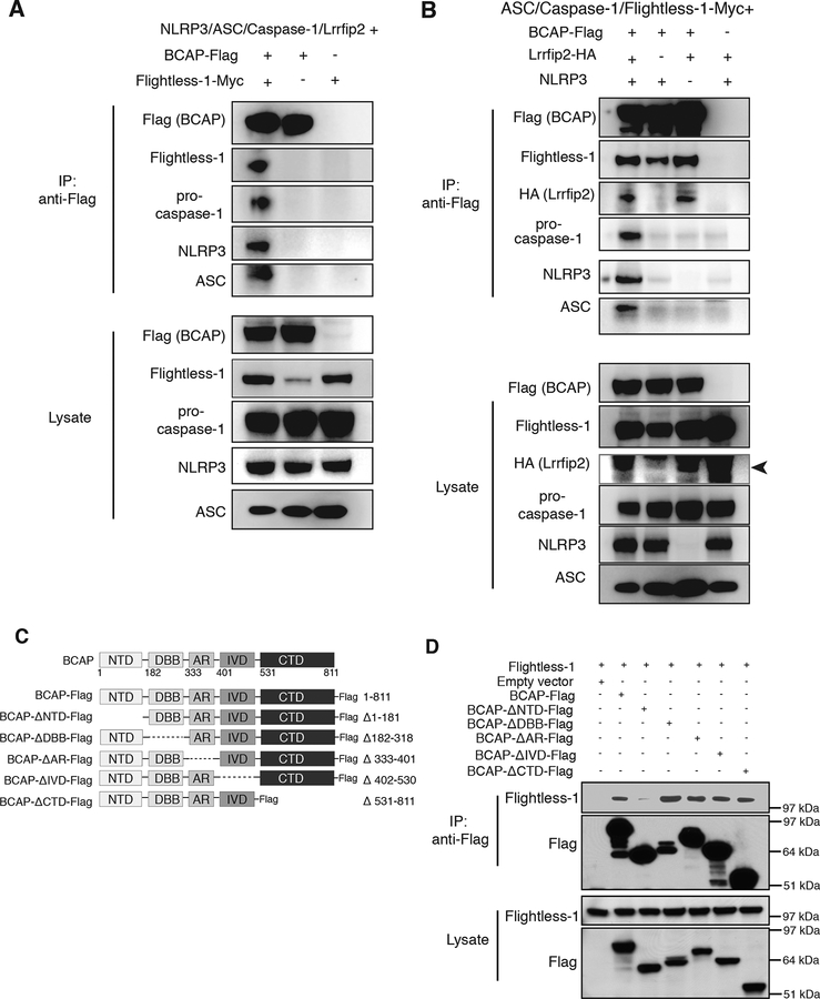 Figure 2.