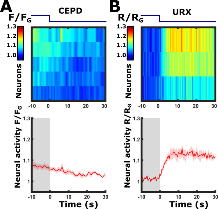 Figure 2—figure supplement 4.