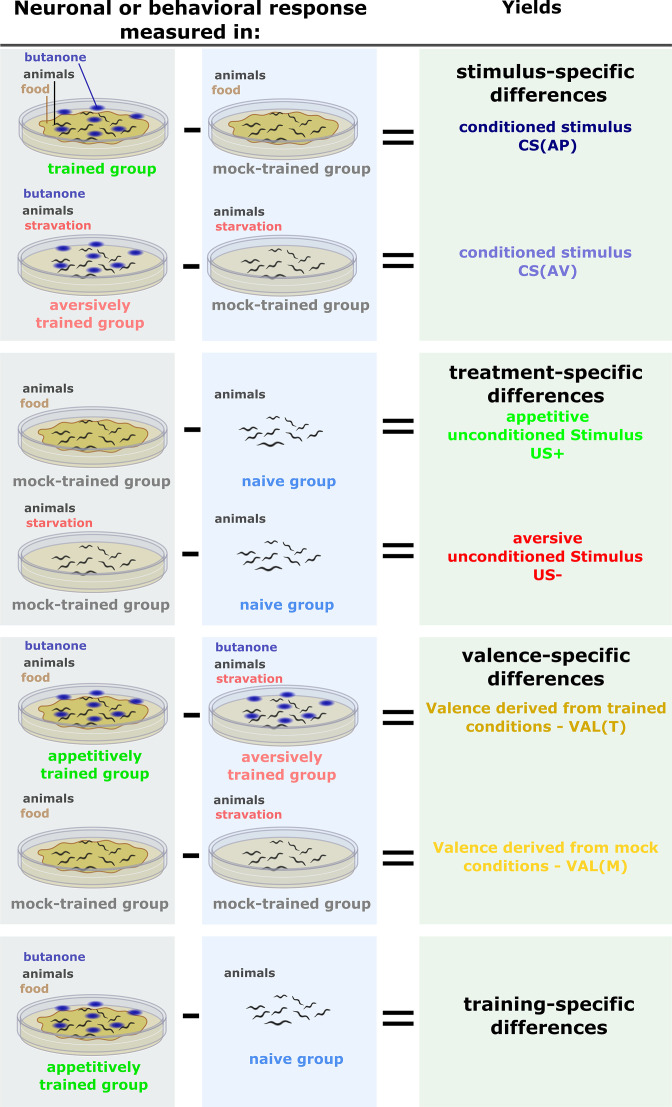 Figure 1—figure supplement 3.