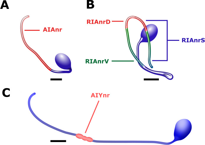 Figure 2—figure supplement 2.