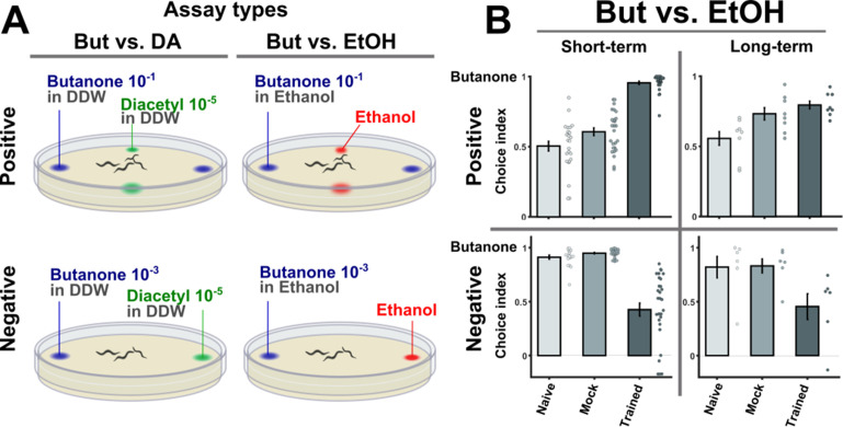 Figure 1—figure supplement 1.