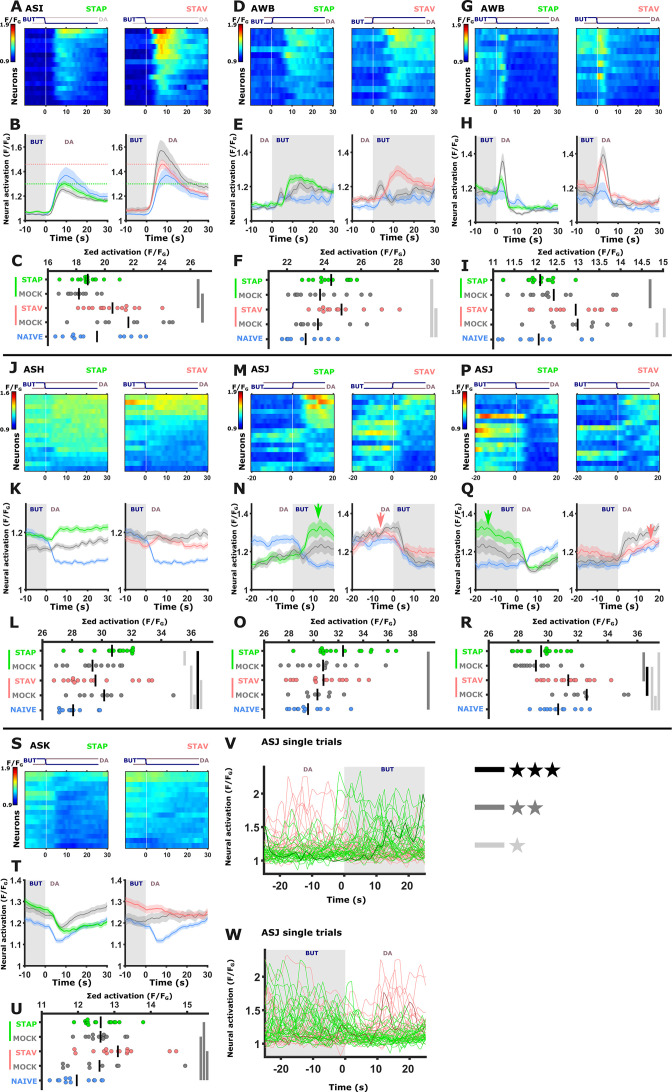 Figure 4—figure supplement 2.