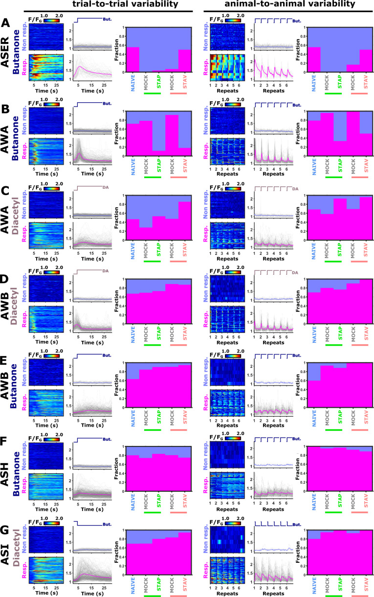 Figure 4—figure supplement 6.