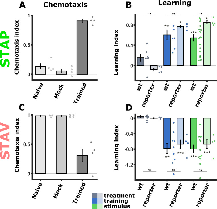 Figure 4—figure supplement 5.