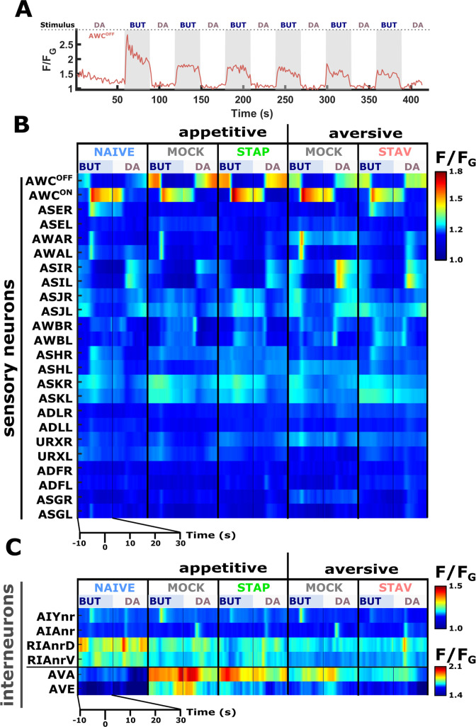 Figure 4—figure supplement 1.