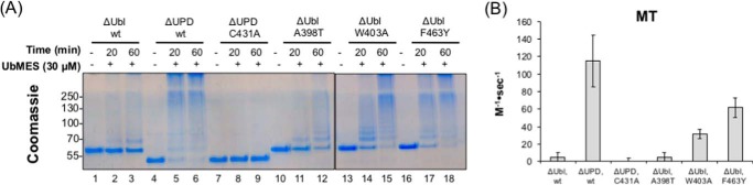 Figure 6.