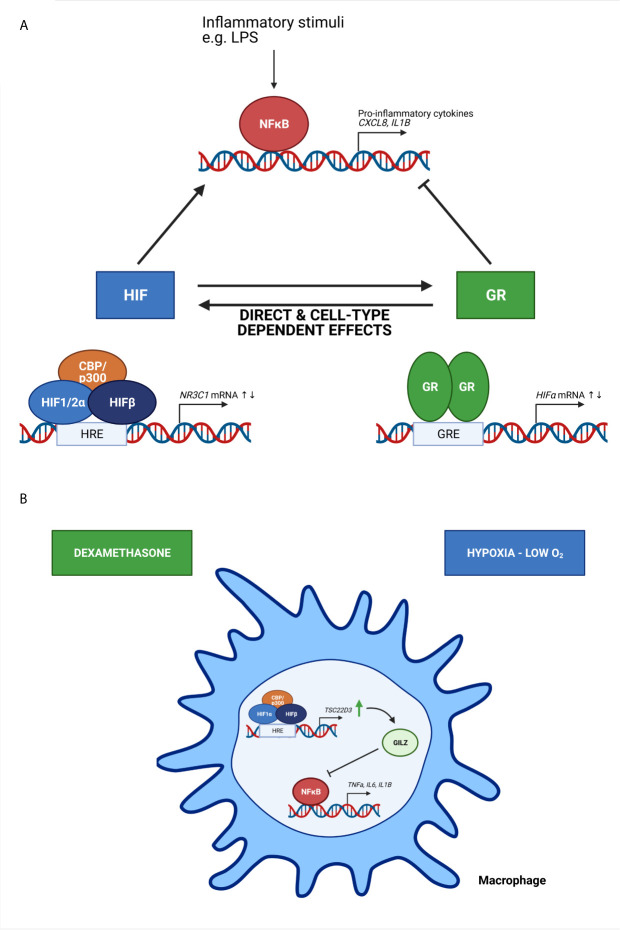 Figure 4