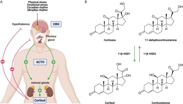 Figure 1