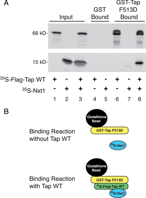 Figure 5.