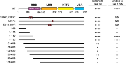 Figure 9.