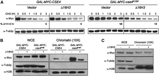 Figure 3.—